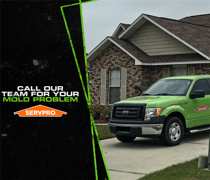 Green SERVPRO truck in front of a home with caption: CALL OUR TEAM FOR YOUR MOLD PROBLEM